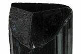Terminated Black Tourmaline (Schorl) Crystal - Madagascar #172190-3